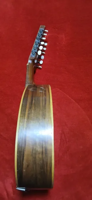 Bandurria Agustín Gaspar Cebrian