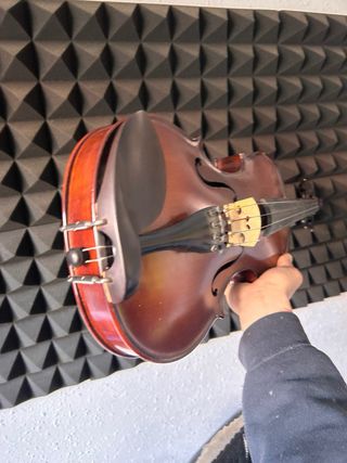 Violín con funda y arco