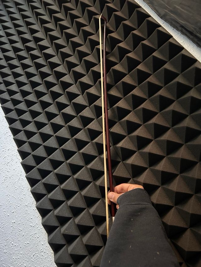 Violín con funda y arco