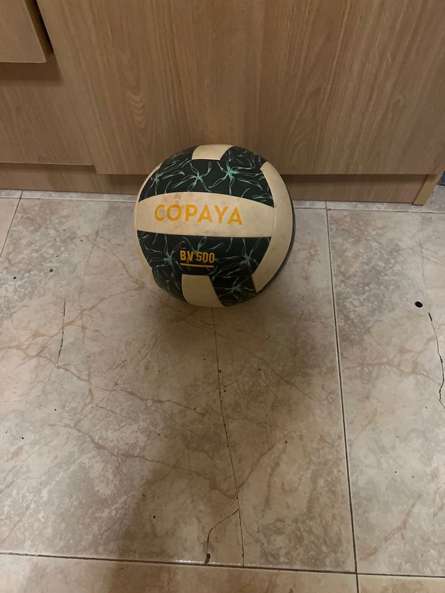 Balón de voleibol Copaya BV 500