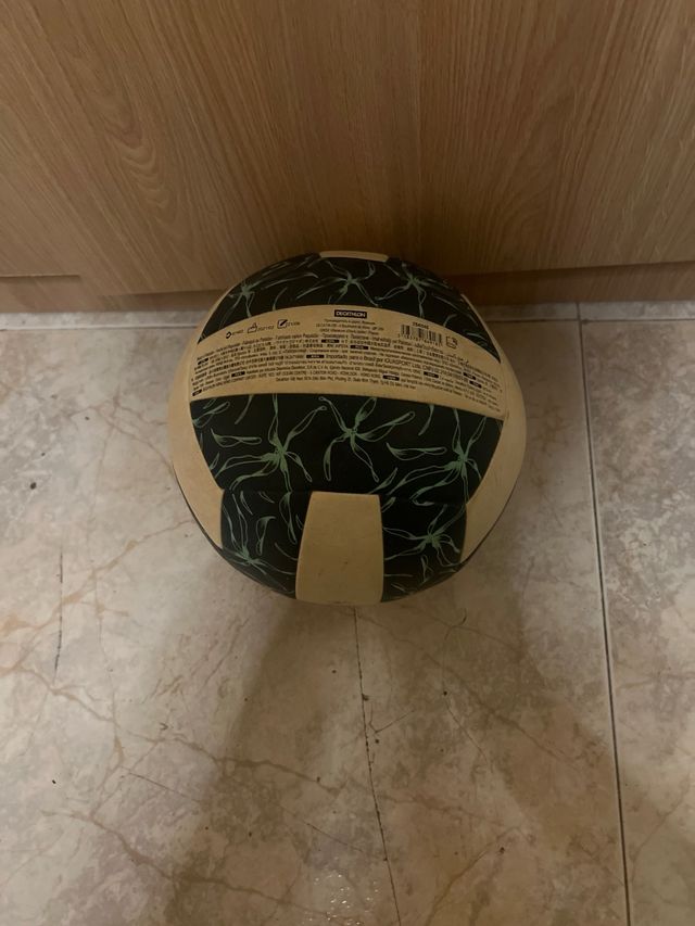 Balón de voleibol Copaya BV 500