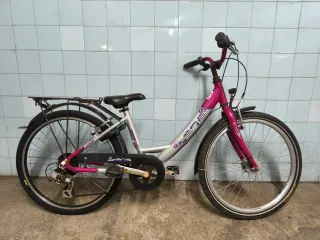 Bicicleta niña plateada y rosa