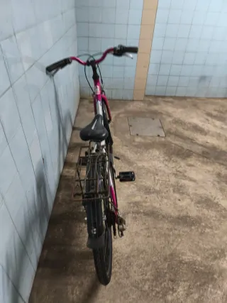 Bicicleta niña plateada y rosa