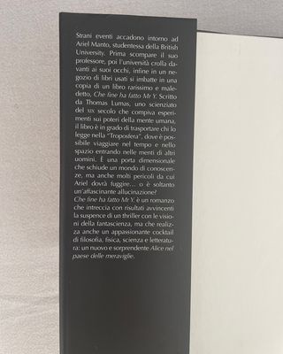 Che fine ha fatto Mr Y