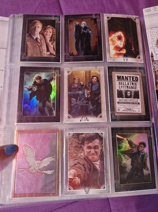 Harry Potter Álbum Bienvenidos a Hogwarts (LEER)