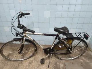 Bicicleta de ciudad Minerva