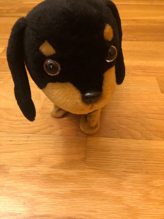 Perrito de peluche Waggles