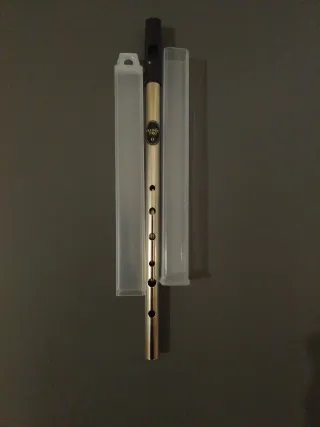 Fisarmonica irlandese Trad D