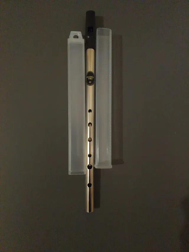 Fisarmonica irlandese Trad D