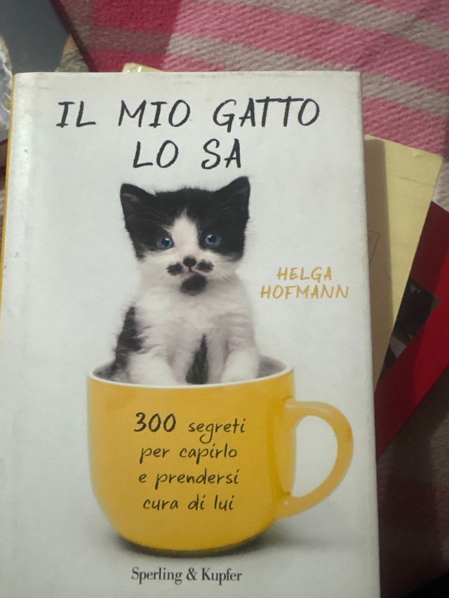 Il mio gatto lo sa