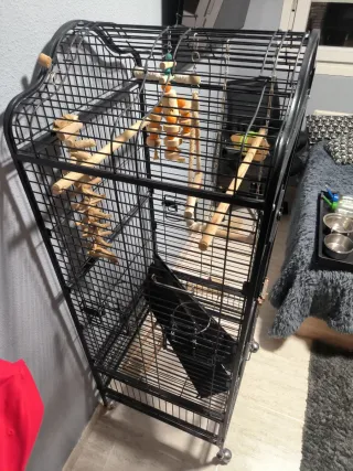 Jaula grande para pájaros XL