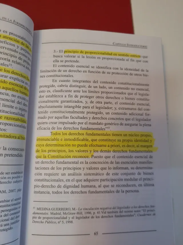 El Sistema de Fuentes del Derecho Constituciona...