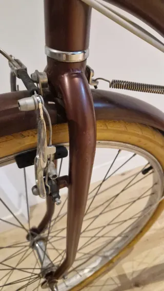 Bicicleta Paseo Clásica Rodado 29