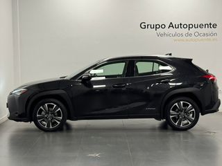 Lexus UX 250H Premium