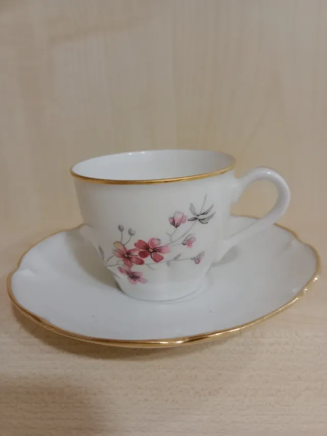 Taza de porcelana con platillo