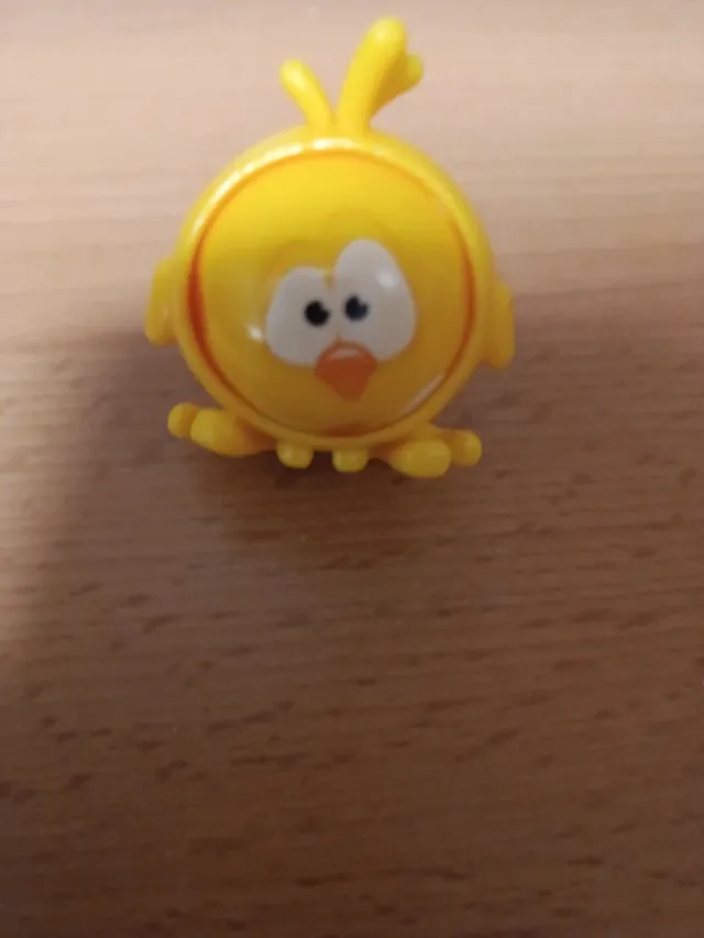 Canica pollito dia