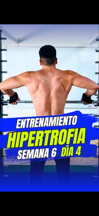 Entrenador Personal de Alto Rendimiento