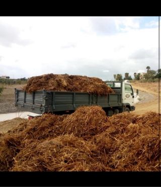 Compost Estiércol Caballo