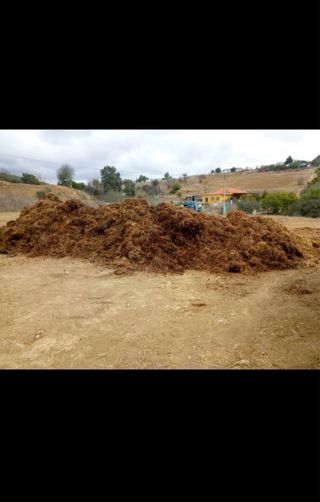 Compost Estiércol Caballo