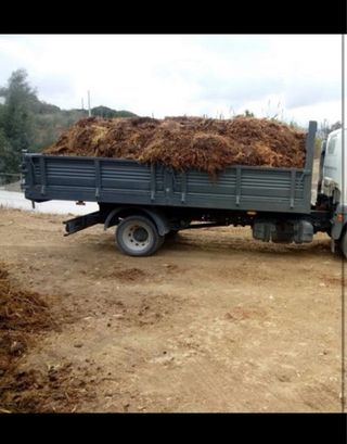 Compost Estiércol Caballo