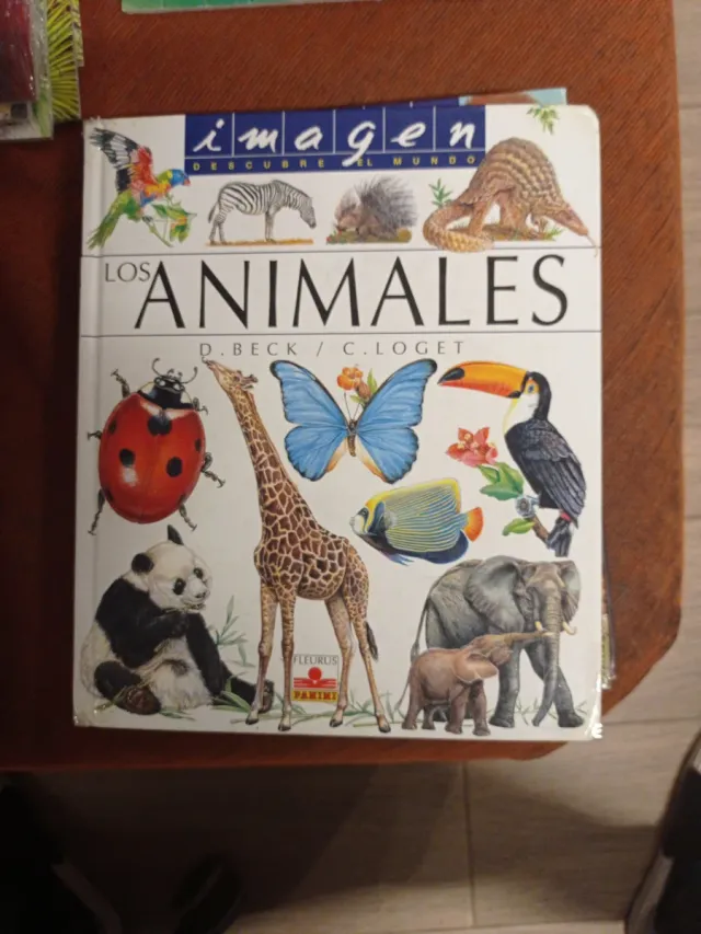 Lote libros imagen descubierta del Mundo