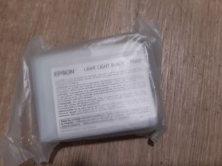 Cartuccia Epson T5809 Light Light Black