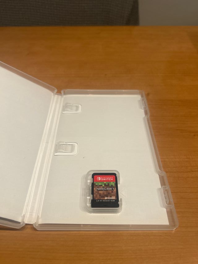 Minecraft Nintendo Switch