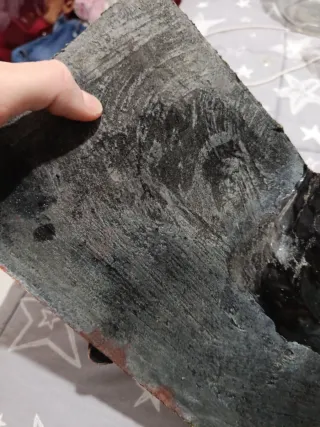 Superficie para tortugas con plantas