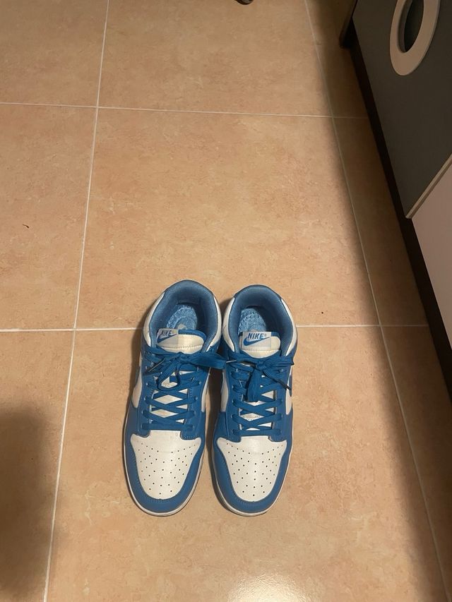 Nike Dunk Low Azul y Blanco
