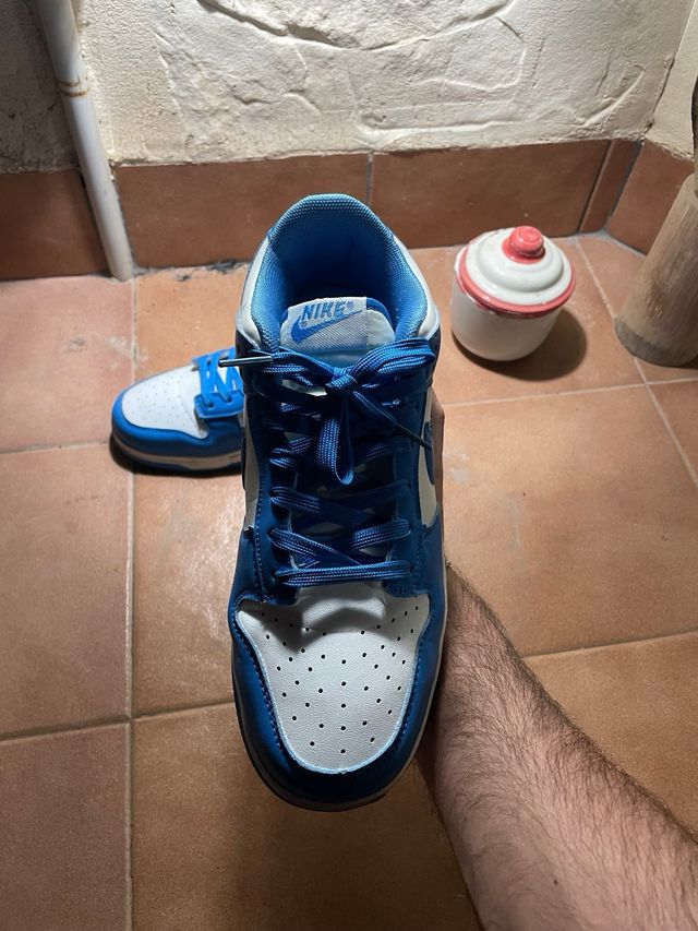 Nike Dunk Low Azul y Blanco