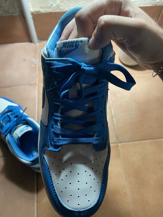 Nike Dunk Low Azul y Blanco