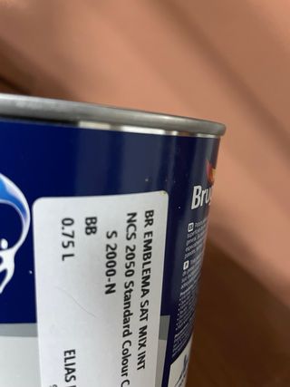 Pintura Bruguer Emblema Satinado/Acetinado BB