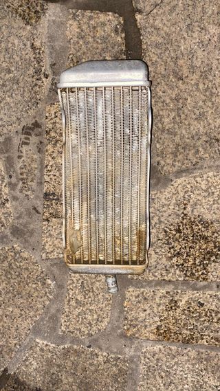 Radiadores GasGas EC 250/300