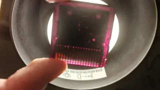 🇪🇸 Pokémon Blanca 2 Nintendo DS