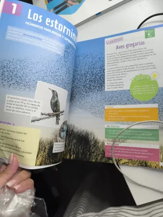 Libro Matemáticas Vicens Vives 6.1