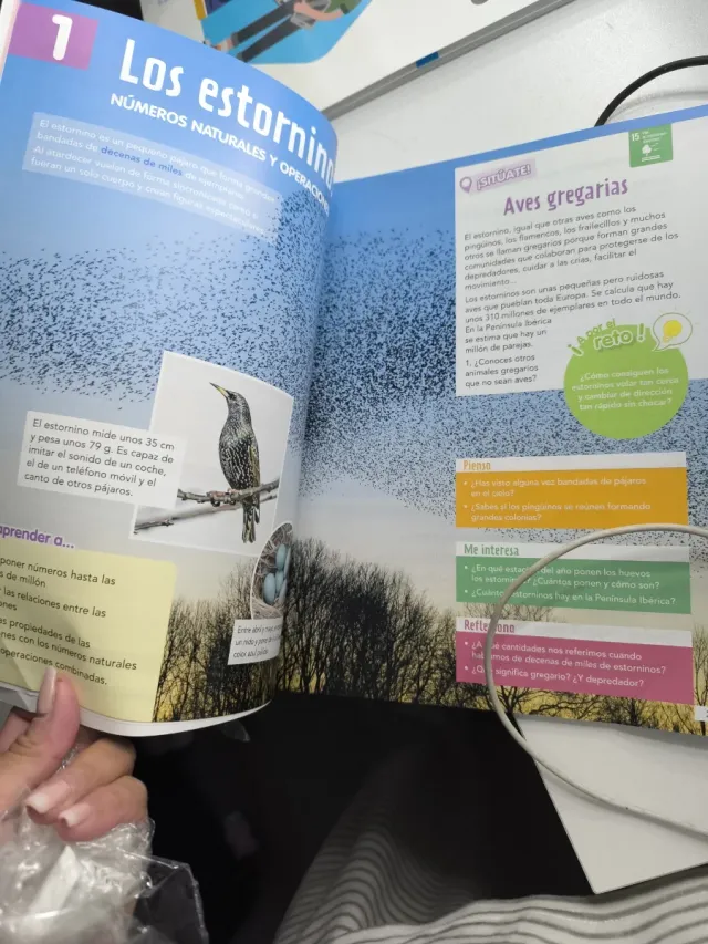 Libro Matemáticas Vicens Vives 6.1