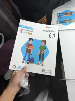 Libro Matemáticas Vicens Vives 6.1