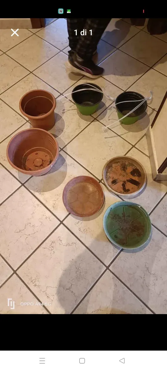 4 vasi e 3 sottovasi