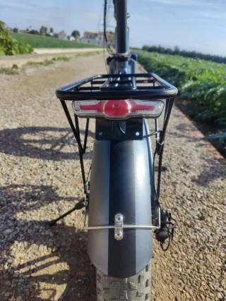 Bicicleta Eléctrica Plegable Engwe EP-2 Pro