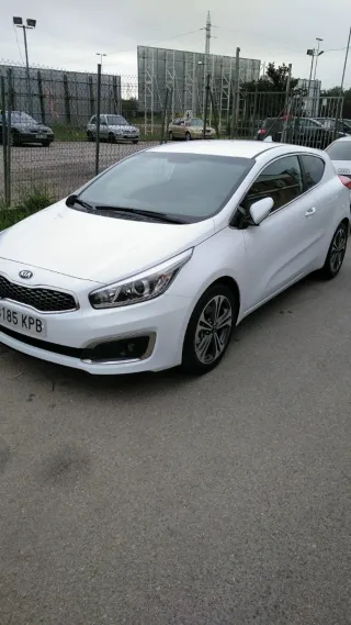 KIA Ceed (urge)