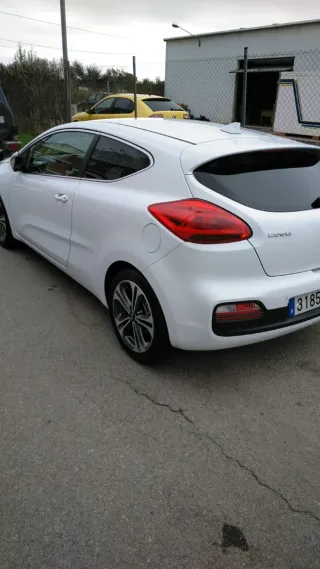 KIA Ceed (urge)