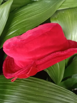Gorro terciopelo bebé rojo