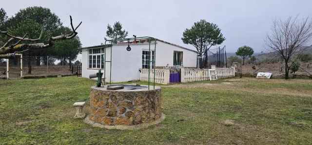 Finca rústica en venta