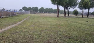 Finca rústica en venta