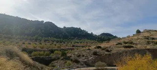 Parcela urbana en venta