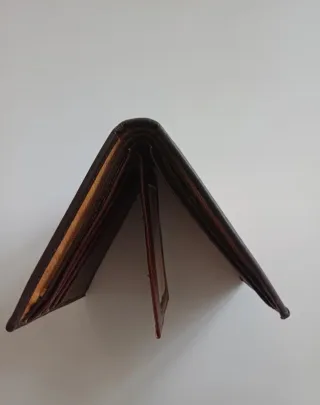 Portafoglio stile 100 dollari