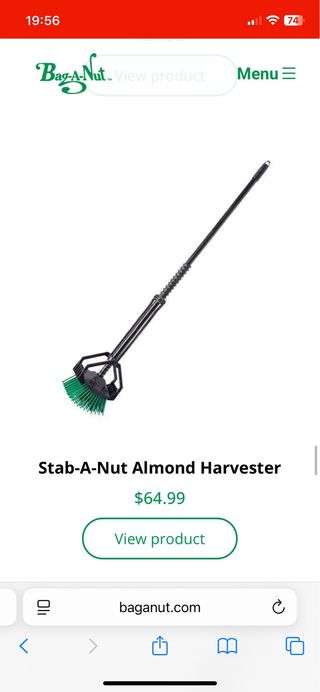 Recolector de nueces, castañas, y frutos secos