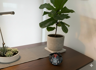 Reloj Casio G-Shock GA-2100-GB-1A Negro/Dorado - C