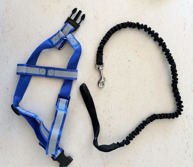 Arnés y Correa para Perros Pequeños