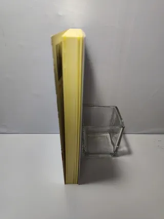 Lo que me queda por vivir: Prólogo de Lola Larumbe